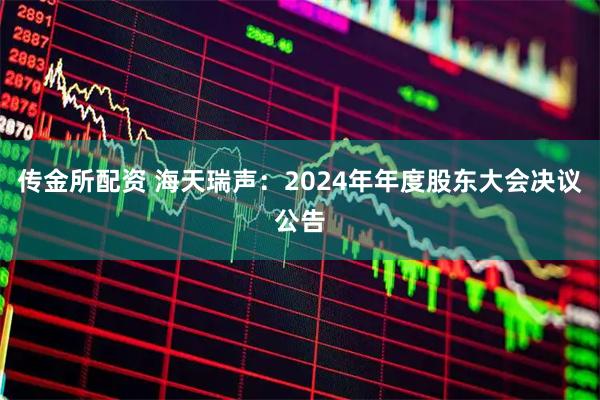 传金所配资 海天瑞声：2024年年度股东大会决议公告