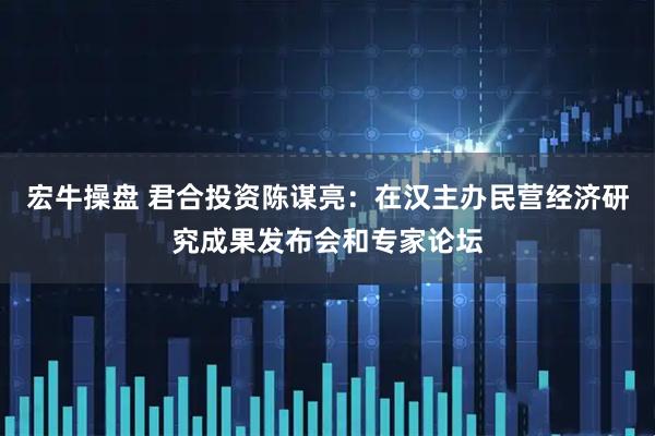 宏牛操盘 君合投资陈谋亮：在汉主办民营经济研究成果发布会和专家论坛