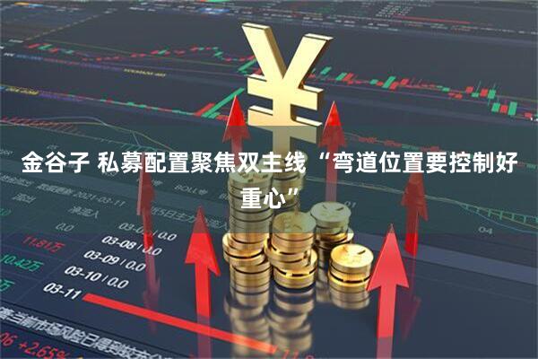 金谷子 私募配置聚焦双主线 “弯道位置要控制好重心”