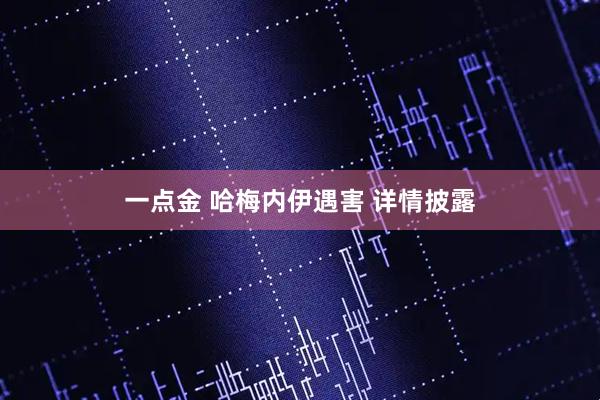 一点金 哈梅内伊遇害 详情披露