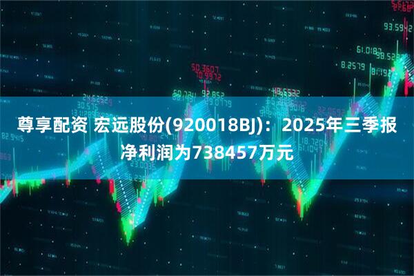 尊享配资 宏远股份(920018BJ)：2025年三季报净利润为738457万元