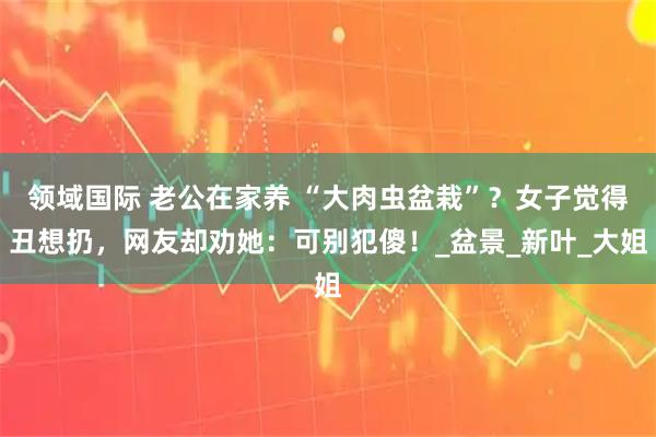 领域国际 老公在家养 “大肉虫盆栽”？女子觉得丑想扔，网友却劝她：可别犯傻！_盆景_新叶_大姐