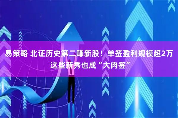 易策略 北证历史第二赚新股!单签盈利规模超2万 这些新秀也成“大肉签”